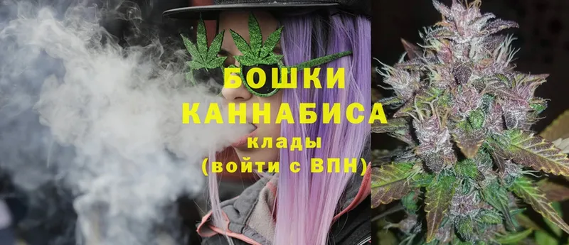 Бошки марихуана THC 21%  hydra как зайти  Пошехонье 